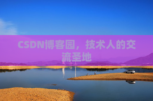 CSDN博客园，技术人的交流圣地